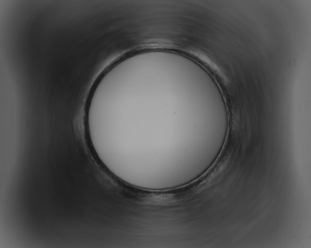 X0000100321325200806190955