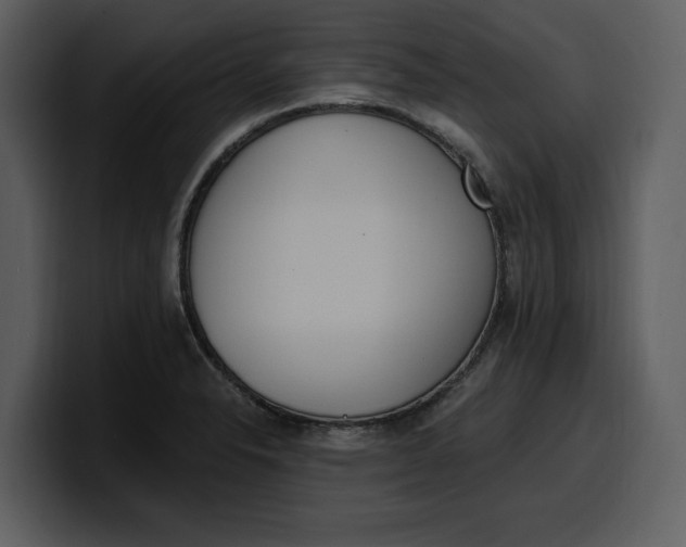 X0000100321326200806190955