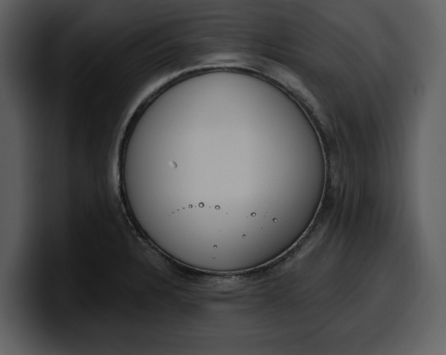 X0000100321328200806190955