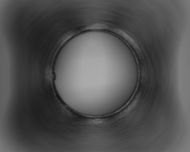 X0000100321329200806190955