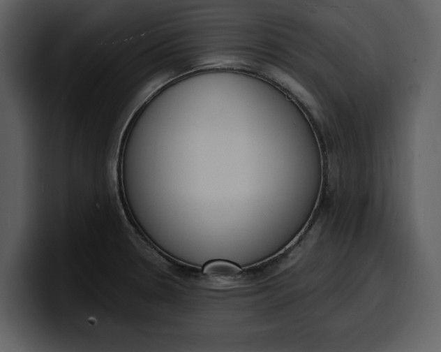 X0000100321330200806190955