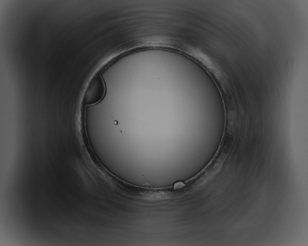 X0000100321331200806190955