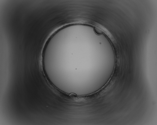 X0000100321332200806190955