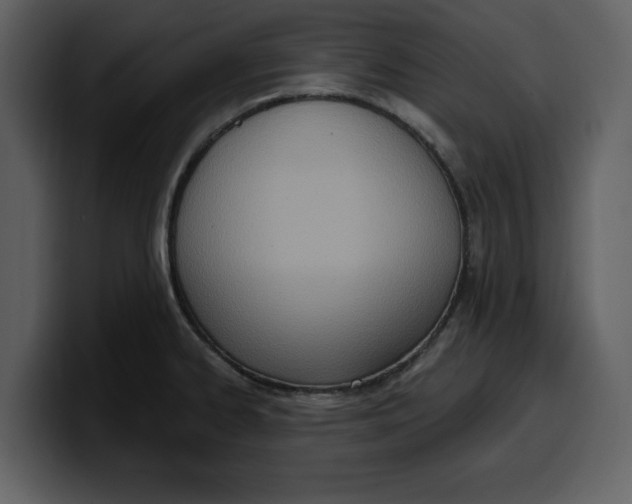 X0000100321334200806190955