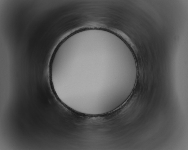 X0000100321335200806190955