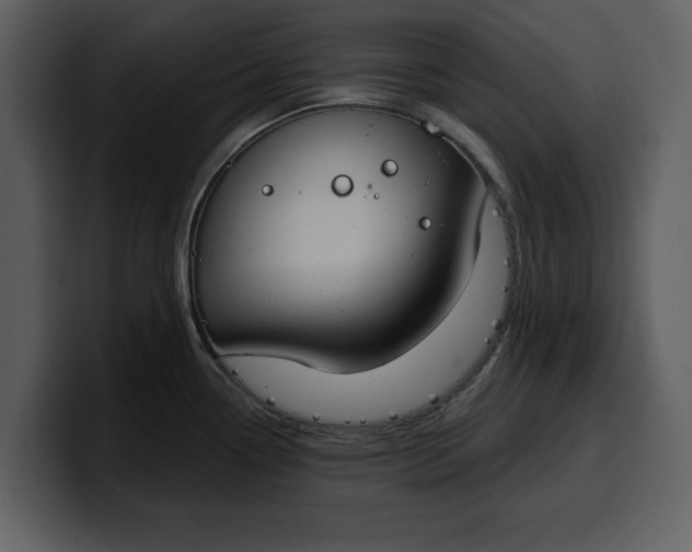 X0000100321338200806190955