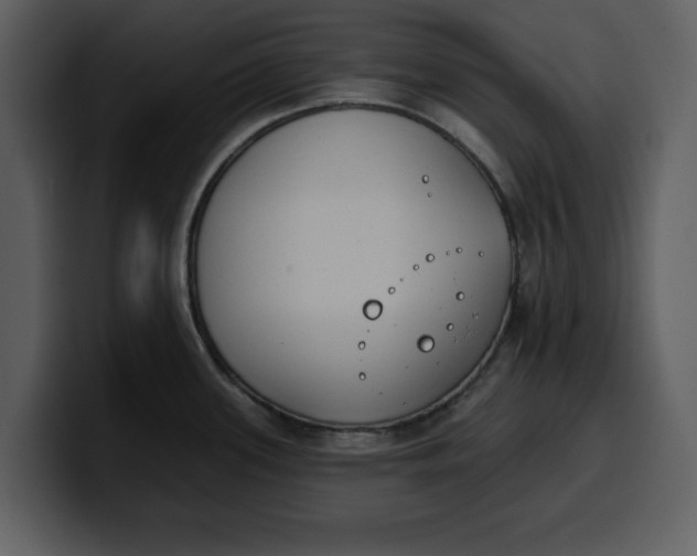 X0000100321339200806190955