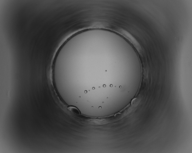 X0000100321340200806190955