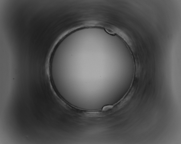 X0000100321342200806190955