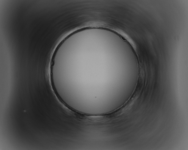 X0000100321343200806190955