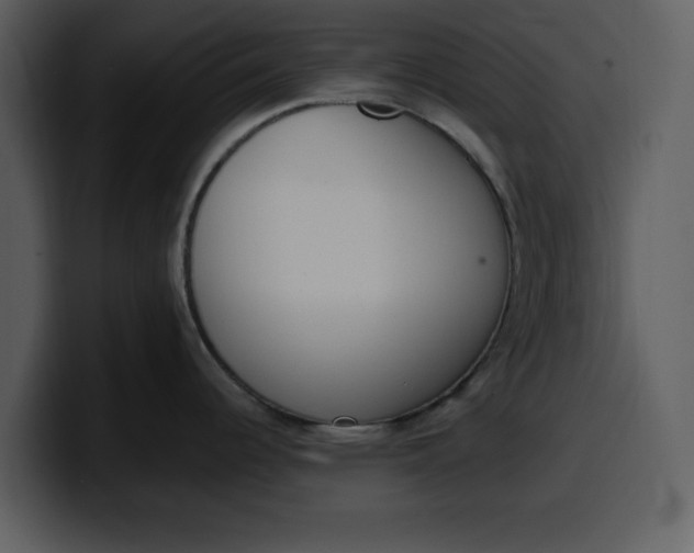 X0000100321344200806190955