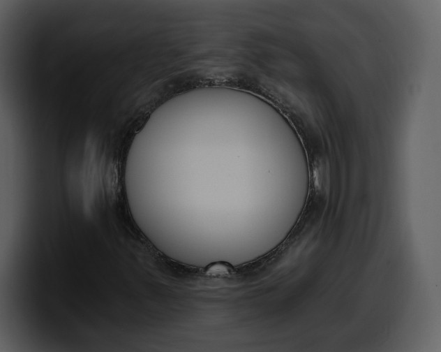 X0000100321347200806190954