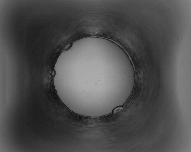 X0000100321349200806190954