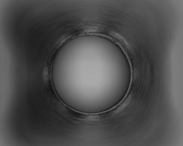 X0000100321353200806190954