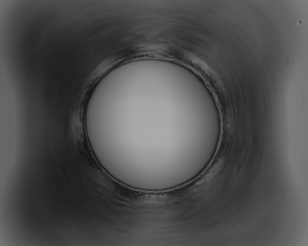 X0000100321354200806190954