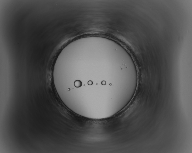 X0000100321355200806190954