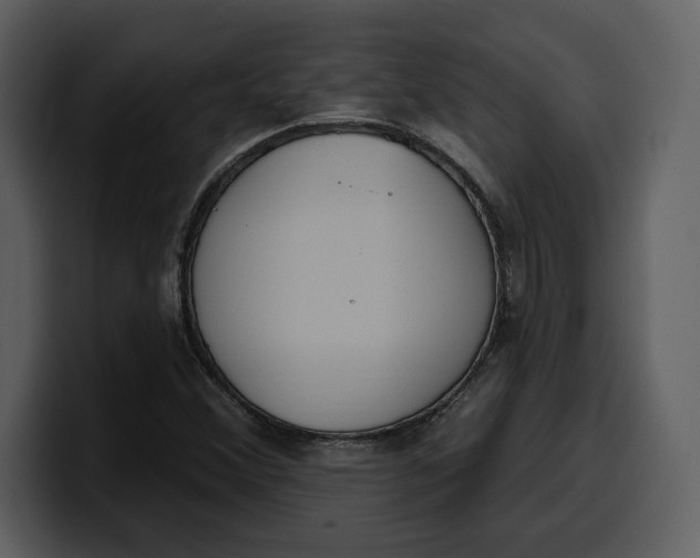 X0000100321356200806190954