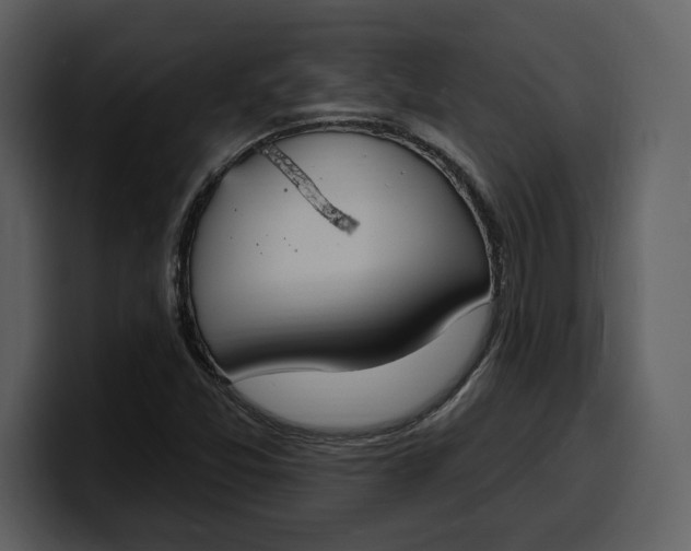 X0000100321357200806190954