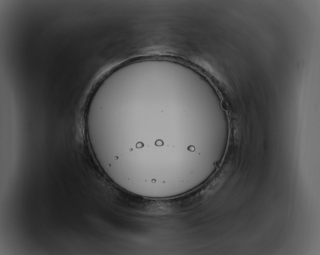 X0000100321358200806190954