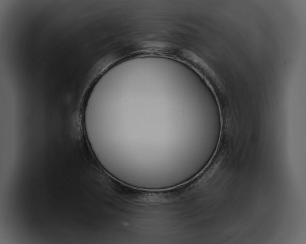 X0000100321362200806190954