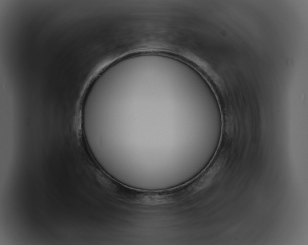 X0000100321366200806190954