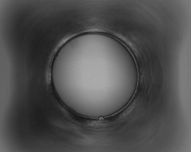 X0000100321367200806190954