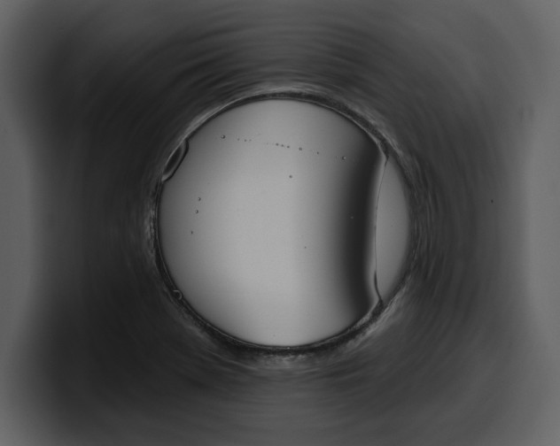 X0000100321369200806190954