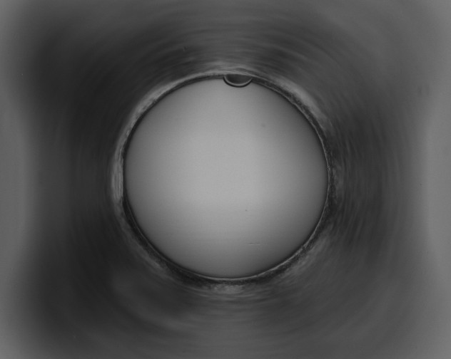 X0000100321371200806190954