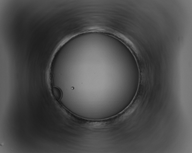 X0000100321373200806190954