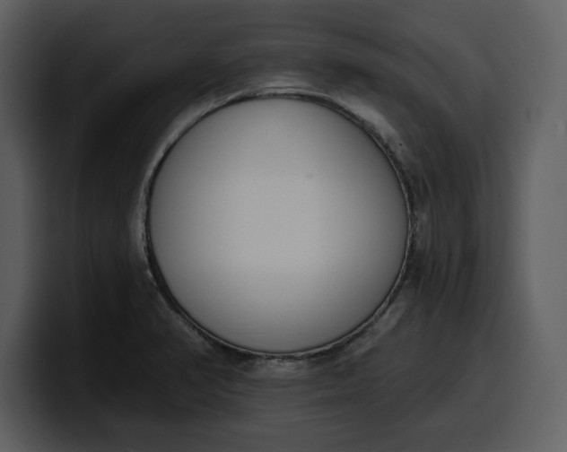 X0000100321374200806190954