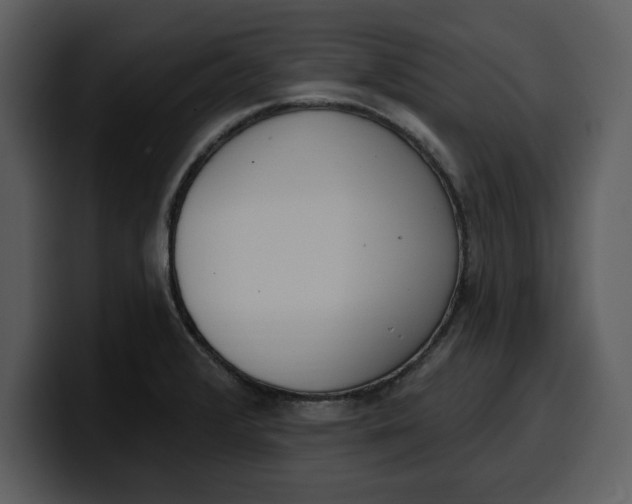 X0000100321376200806190954