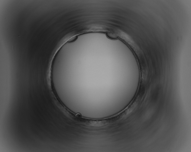 X0000100321378200806190954