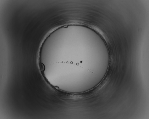 X0000100321379200806190954