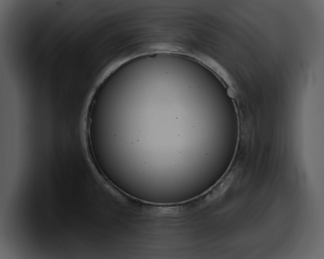 X0000100321381200806190954