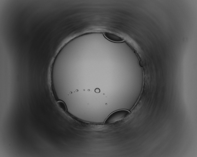 X0000100321382200806190954