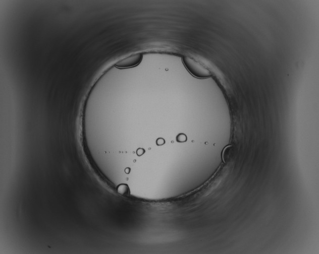 X0000100321383200806190954