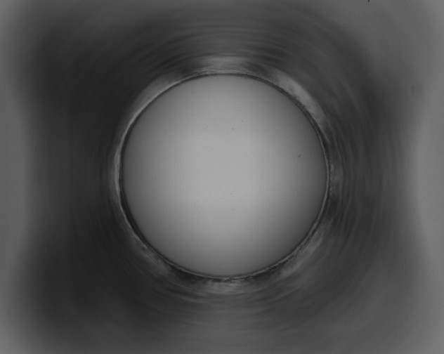 X0000100321386200806190954