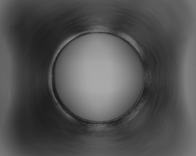 X0000100321387200806190954