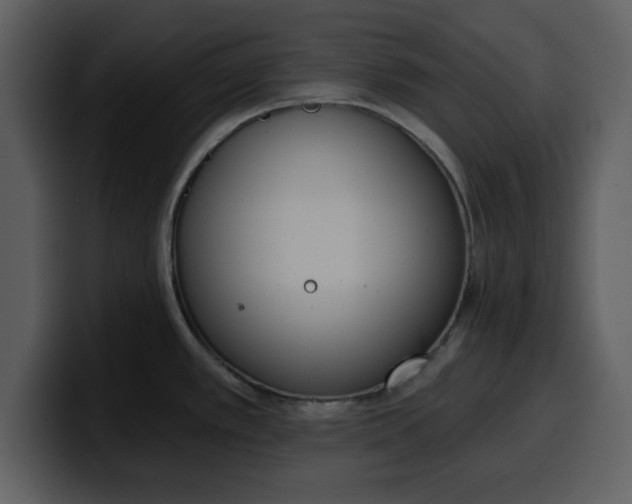 X0000100321389200806190954