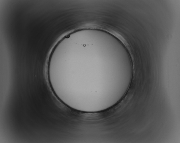 X0000100321392200806190954