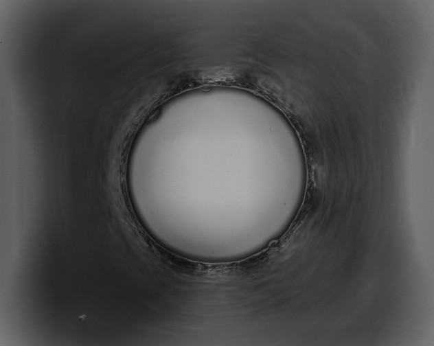 X0000100321393200806190953