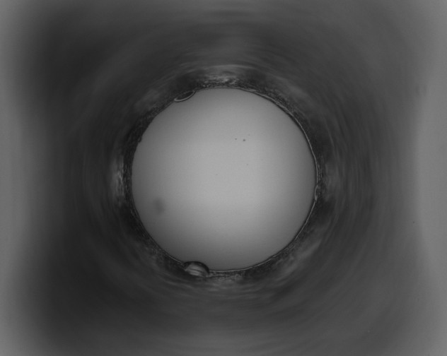 X0000100321394200806190953