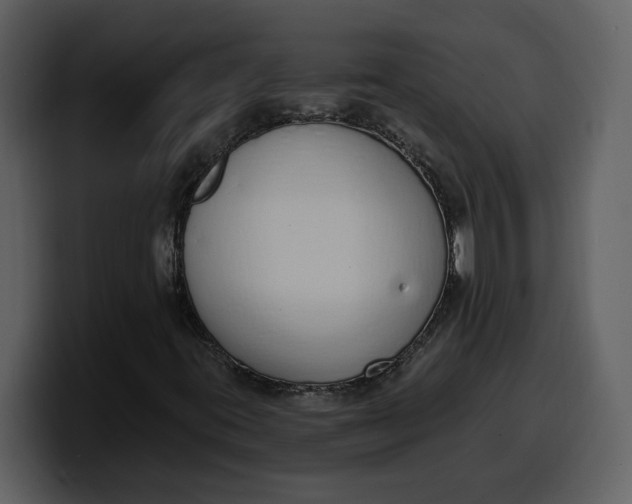 X0000100321395200806190953