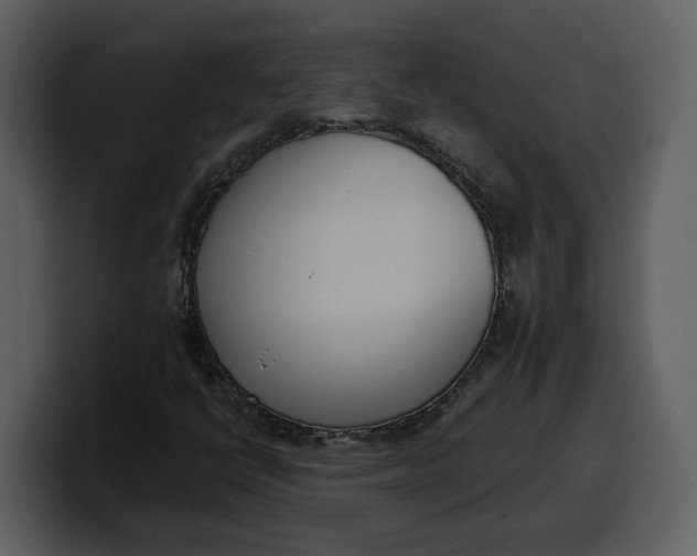 X0000100321398200806190953