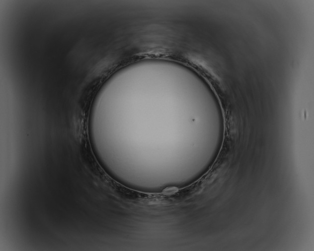 X0000100321399200806190953