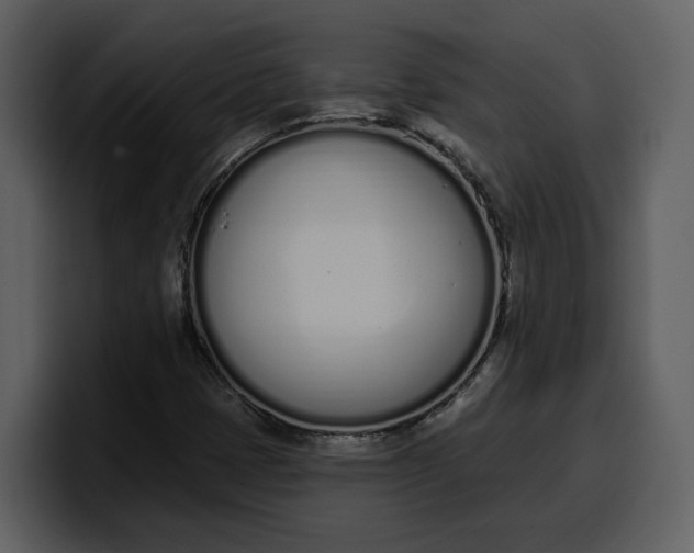 X0000100321401200806190953