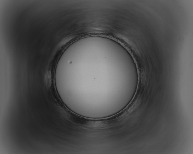 X0000100321402200806190953