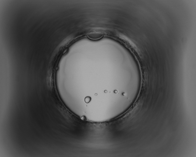 X0000100321403200806190953