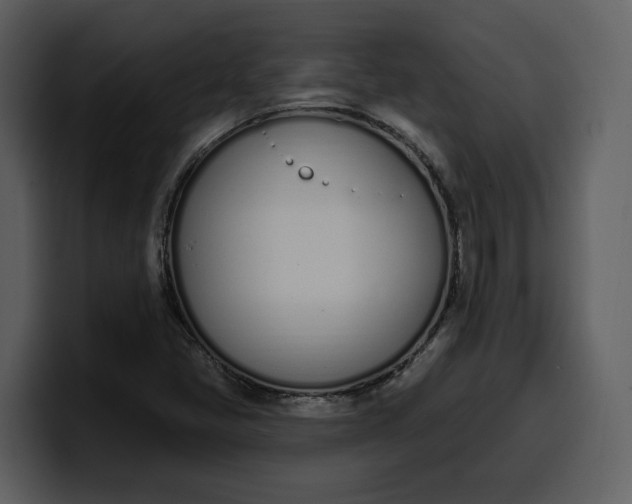 X0000100321405200806190953