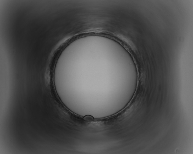 X0000100321406200806190953